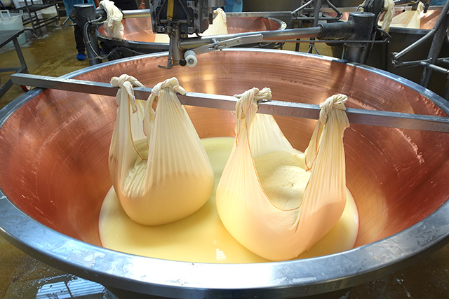 パルミジャーノ・レッジャーノ（チーズ）工場の写真